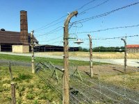 Buchenwald Archivfoto